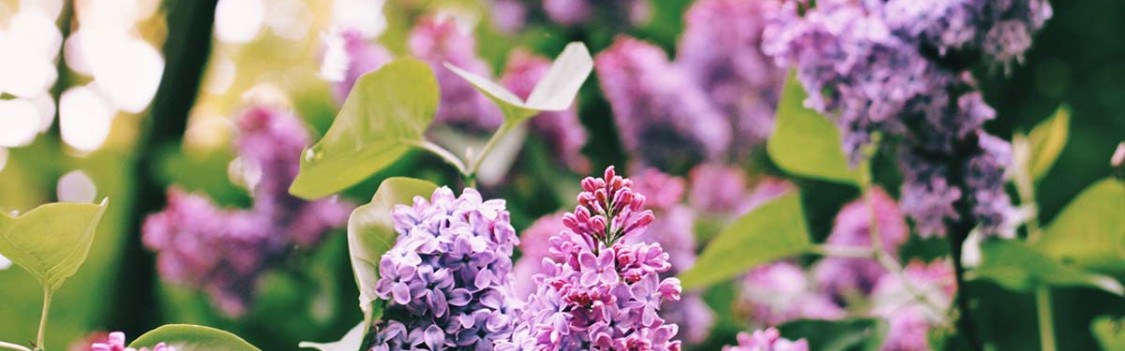 开云登录入口-今年财运翻身！这3个生肖苦尽甘来，赚钱比以前轻松多了！