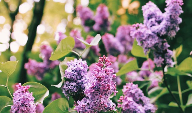 开云登录入口-今年财运翻身！这3个生肖苦尽甘来，赚钱比以前轻松多了！